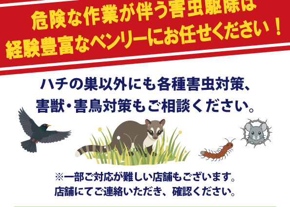 危険な作業が伴う害虫駆除は経験豊富なベンリーにお任せください！