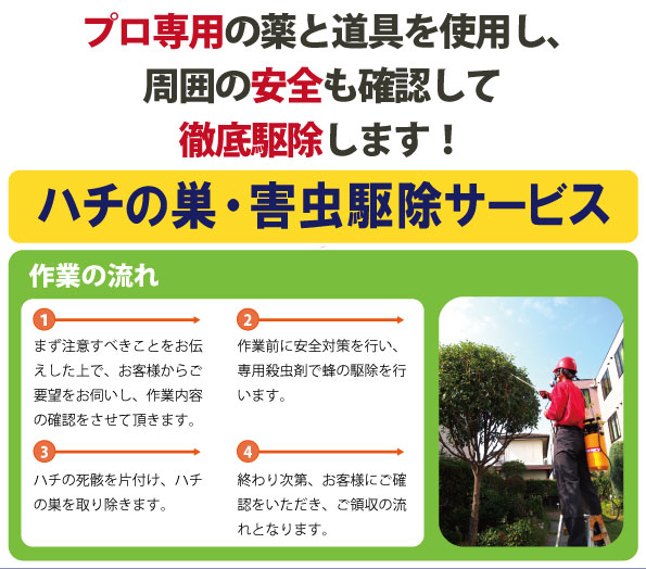 プロ専用の薬と道具を使用し、周囲の安全も確認して徹底駆除します！