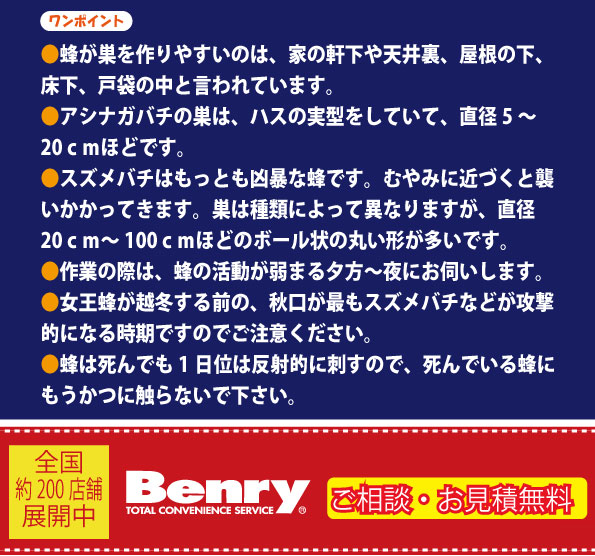 ワンポイント