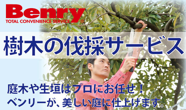 庭木や生垣はプロにお任せ！ベンリーが、美しい庭に仕上げます