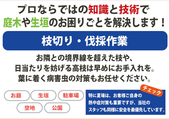 枝切り・伐採作業、お隣との境界線を越えた枝や日当たりを妨げる高枝は早めにお手入れを