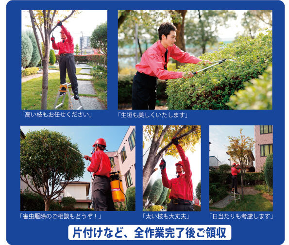 高い枝もお任せください、生垣も美しくいたします、害虫駆除のご相談もどうぞ、太い枝も大丈夫、日当たりも考慮します