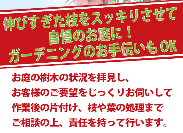 樹木の伐採は生活支援サービス（便利屋）ベンリーへご連絡を | 【公式