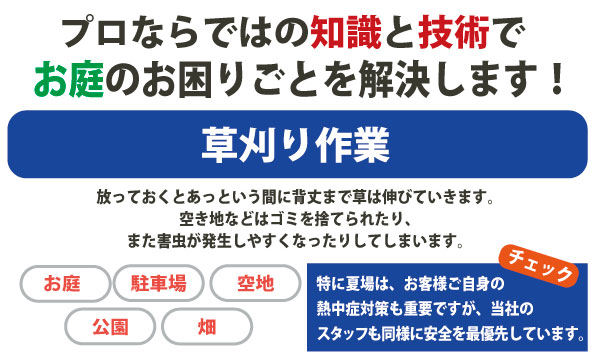 プロならではの知識と技術で
